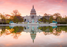 بلیط هواپیما واشنگتن پرواز به Washington